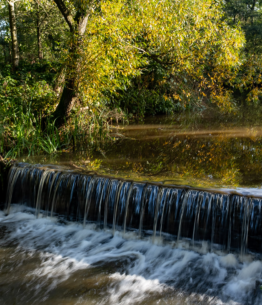 Orrell Water Park 2 of 3